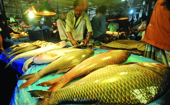 Fish (মাছ)