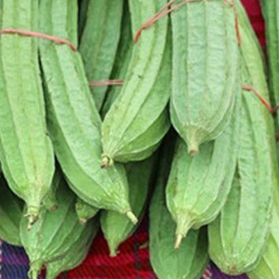 ঝিঙে