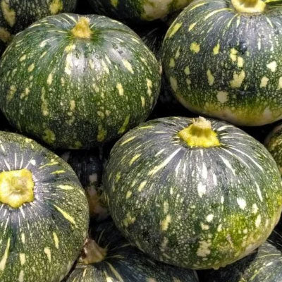 কাঁচা ছোট কুমড়ো