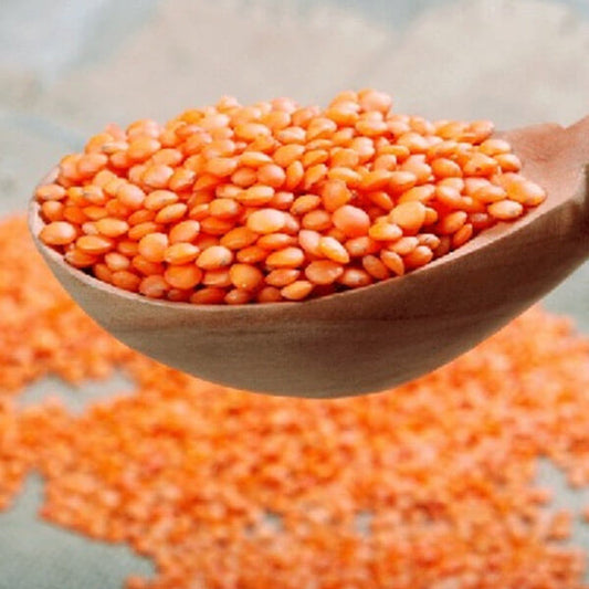 মসুর ডাল (special)