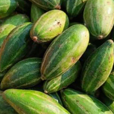 পটল