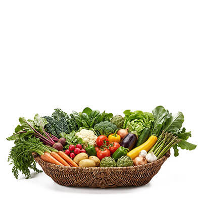 Vegetables ( শাক সবজি )